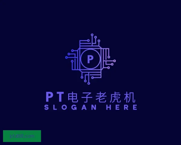 发现PT电子老虎机